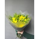 Тюльпаны Желтые 51