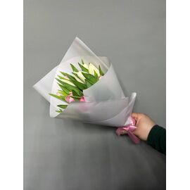 Тюльпаны МИКС 15