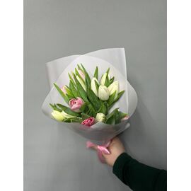 Тюльпаны МИКС 15