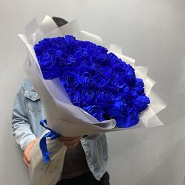 Роза синяя 51