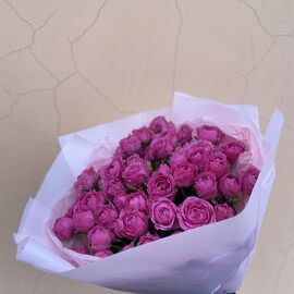 Кустовая роза Мисти Бабалз