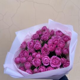 Кустовая роза Мисти Бабалз