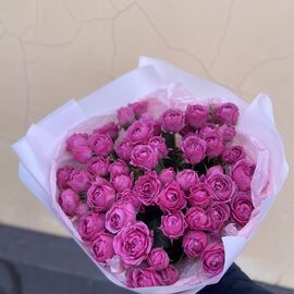 Кустовая роза Мисти Бабалз