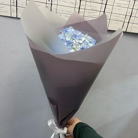 Гортензия голубая