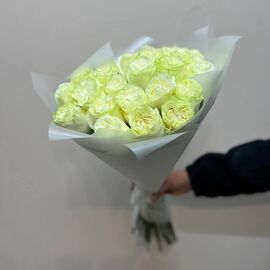 Роза Мондиаль