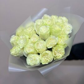 Роза Мондиаль