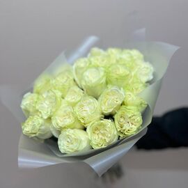 Роза Мондиаль