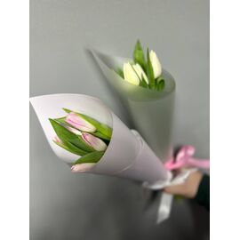 Тюльпаны Розовые
