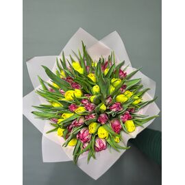 Тюльпаны МИКС 51 ЖМ