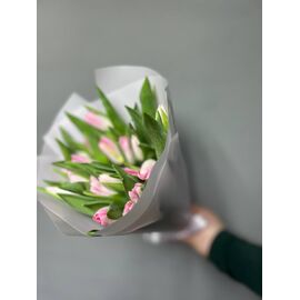 Тюльпаны МИКС 25