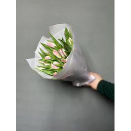 Тюльпаны МИКС 25