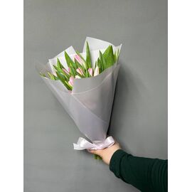 Тюльпаны МИКС 25