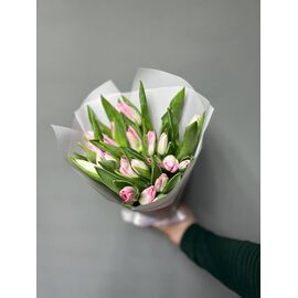 Тюльпаны МИКС 25