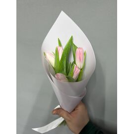 Тюльпаны Розовые