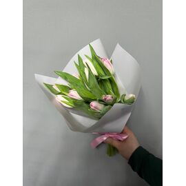 Тюльпаны Розовые 15