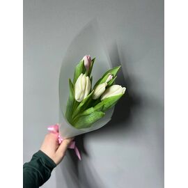 Тюльпаны МИКС