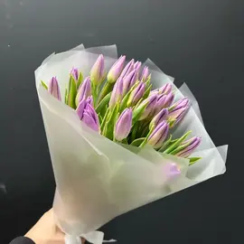 Тюльпаны фиолетовые 25 шт
