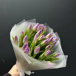 Тюльпаны фиолетовые 25 шт