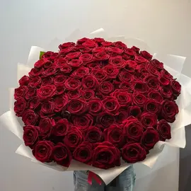 Роза красная 101 шт 60 см
