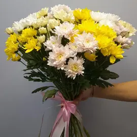 Хризантема Микс