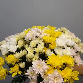 Хризантема Микс