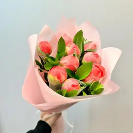 Пионы коралловые и рускус