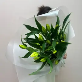 Лилия белая