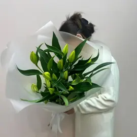 Лилия белая