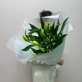 Лилия белая