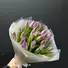 Тюльпаны фиолетовые 25 шт