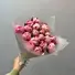 Пионы Сара Бернар 19шт